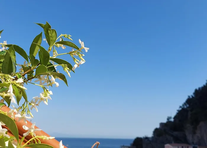 B&B Domus San Pietro